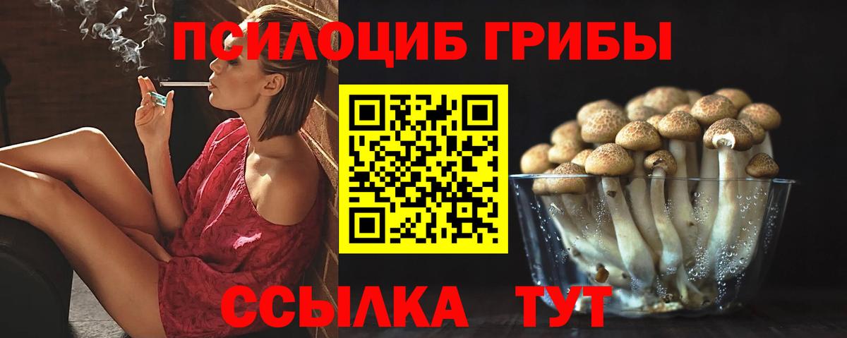 Ростов Великий  Галлюциногенные грибы MAGIC MUSHROOMS  Псилоцибиновые грибы GOLDEN TEACHER  Вход с VPN 