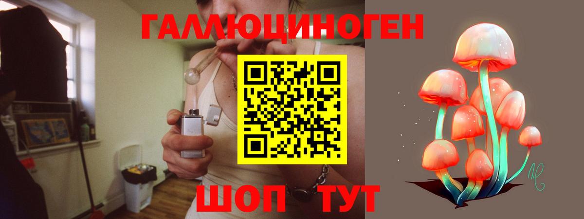 Псилоцибиновые грибы Psilocybe Ростов Великий